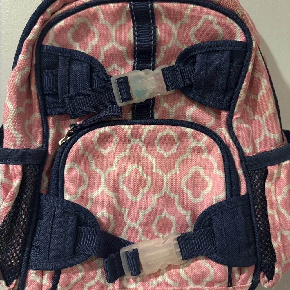 Pottery Barn Kids‎ Blue And Pink Backpack Preschool G